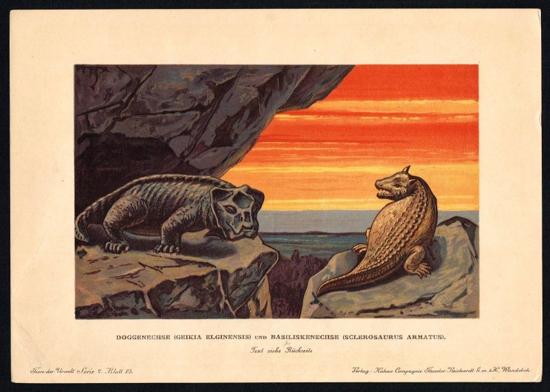 Dinosaur engravings