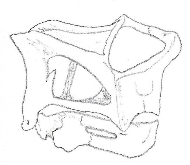 Geikia elginensis