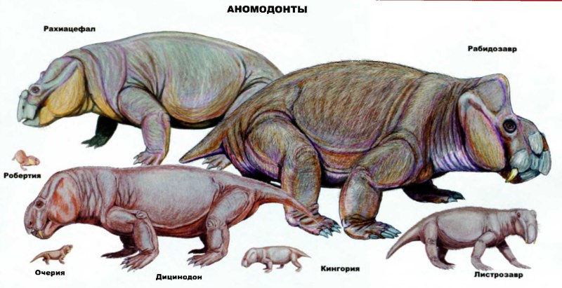 Рабидозавр