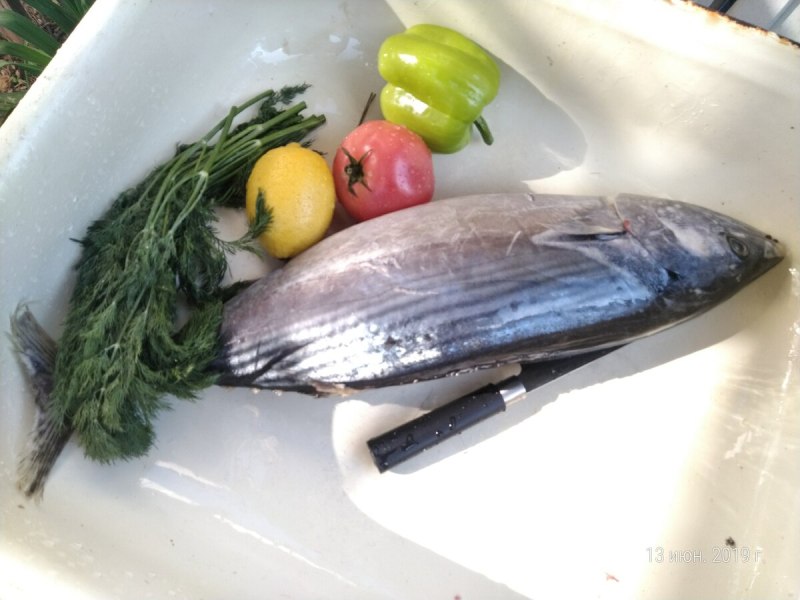 Рыба пеламида вкусная