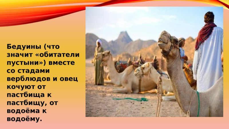 Юго Западная Азия презентация