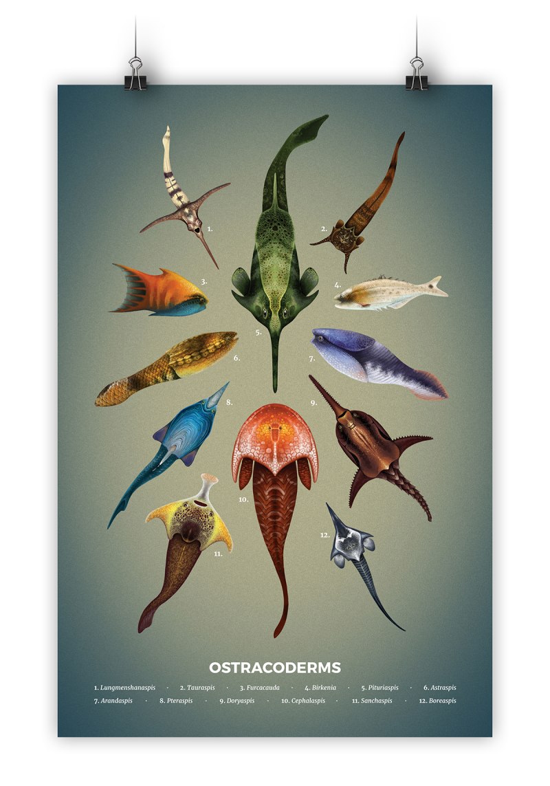 Pituriaspis doylei