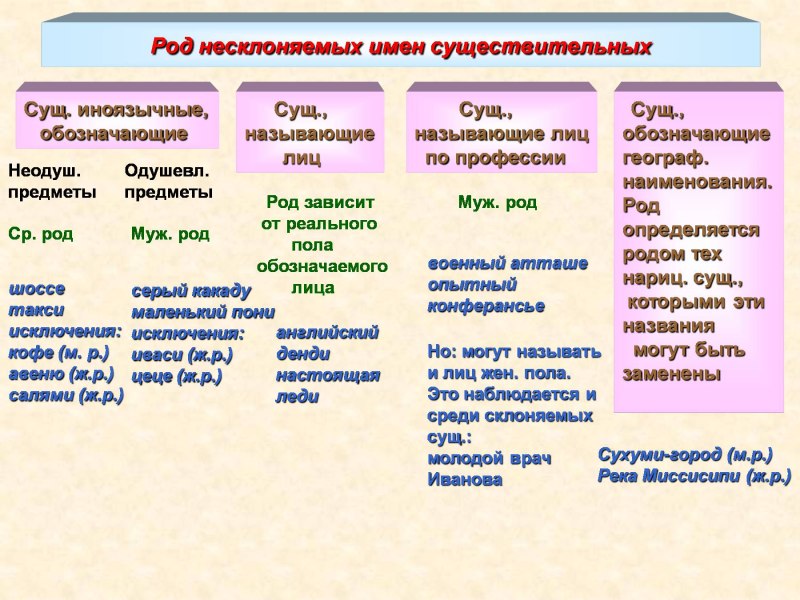 Род несклоняемых имен существительных