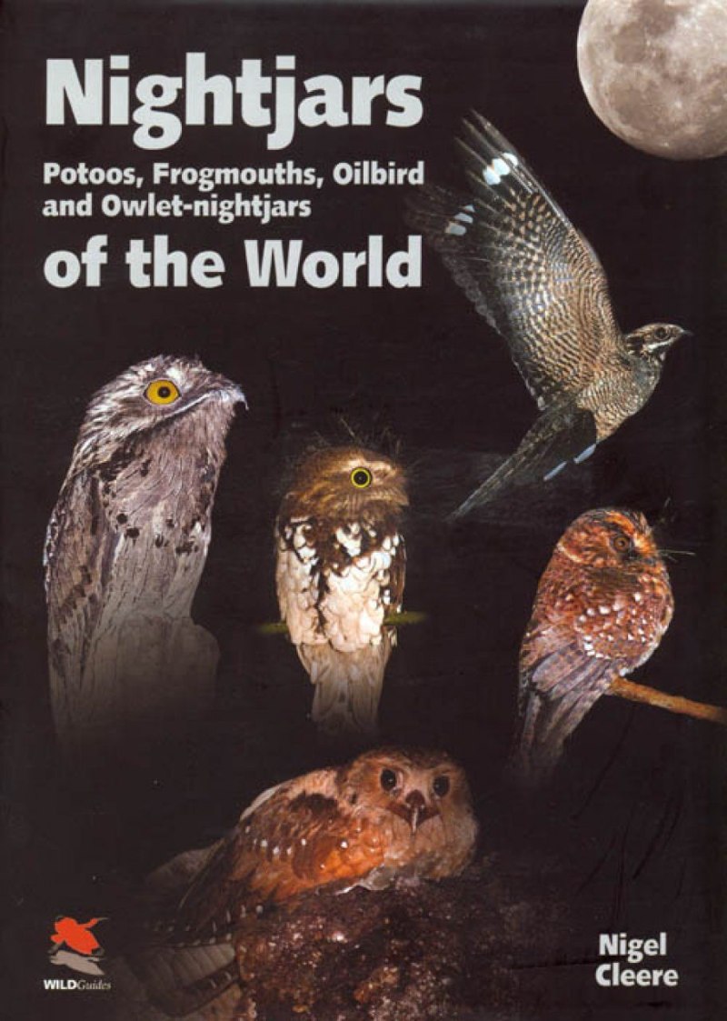 Nightjars, Frogmouths & Oilbirds