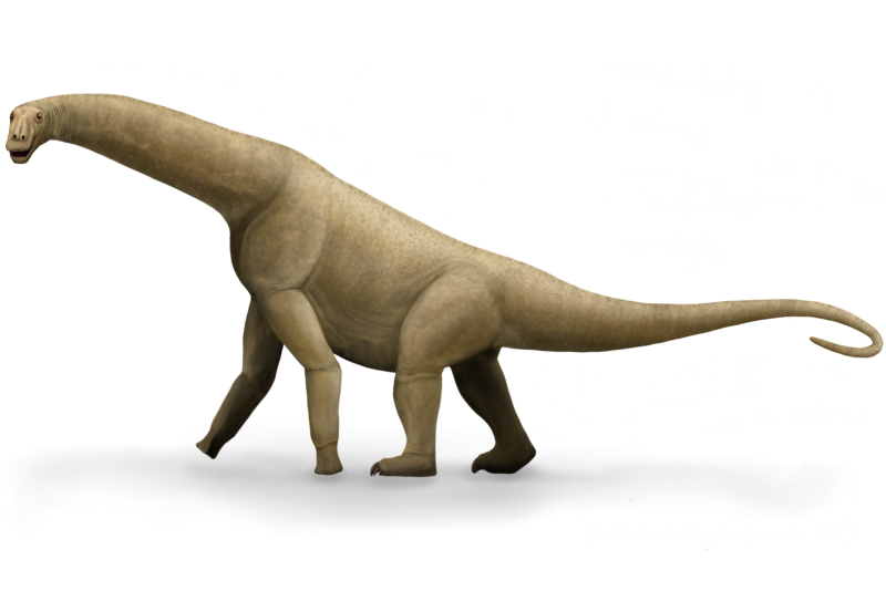 Isisaurus