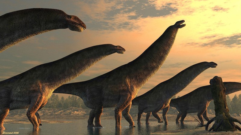Savannasaurus elliottorum