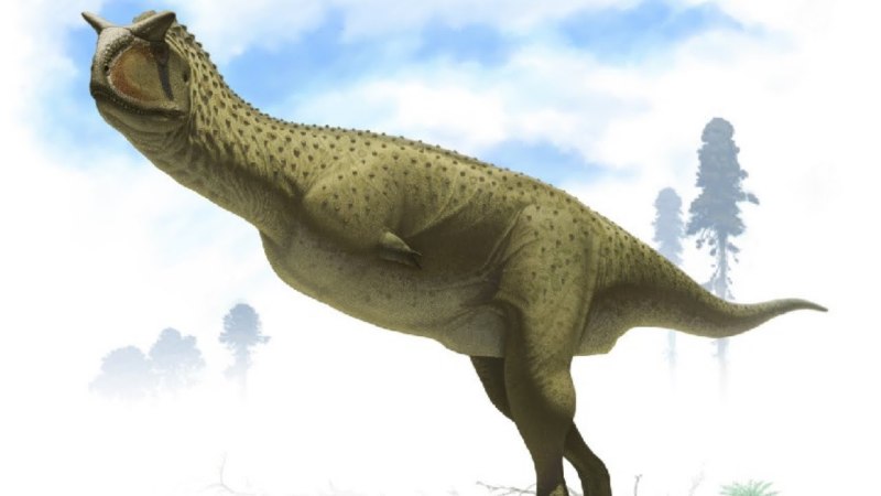 Carnotaurus sastrei