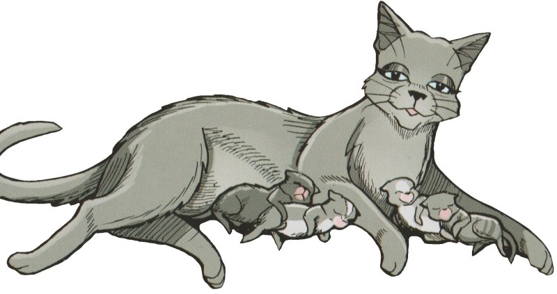 Коты Воители Иглохвостка