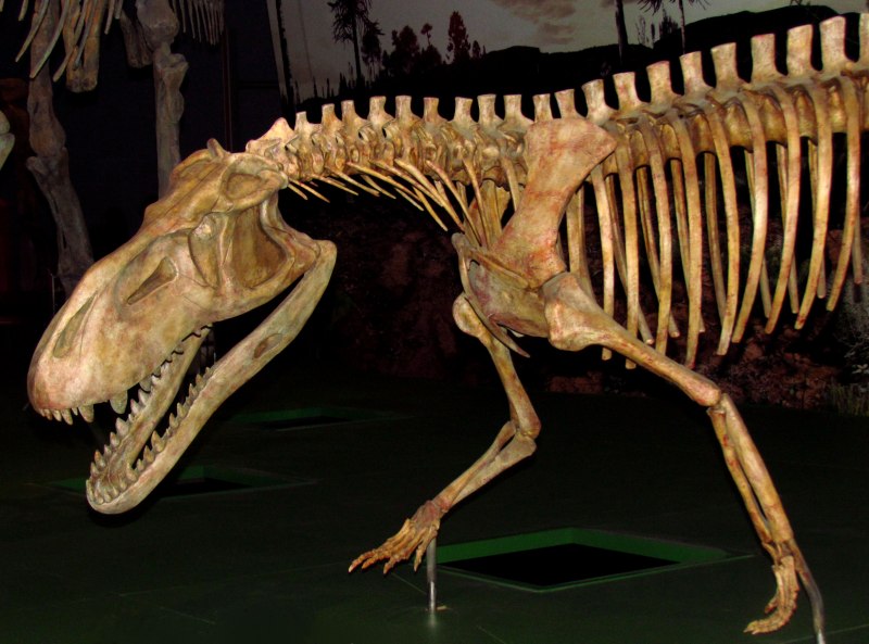 PRESTOSUCHUS chiniquensis