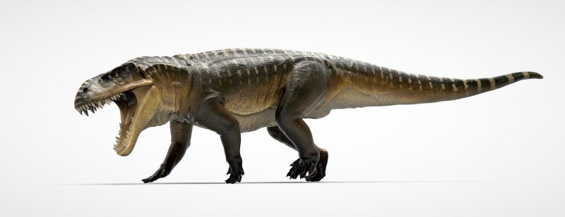 PRESTOSUCHUS chiniquensis