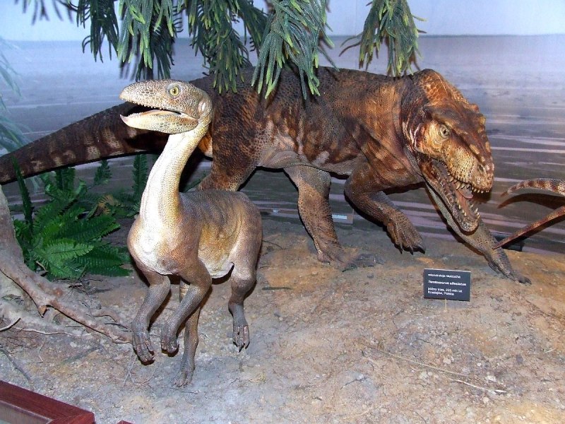 Silesaurus opolensis