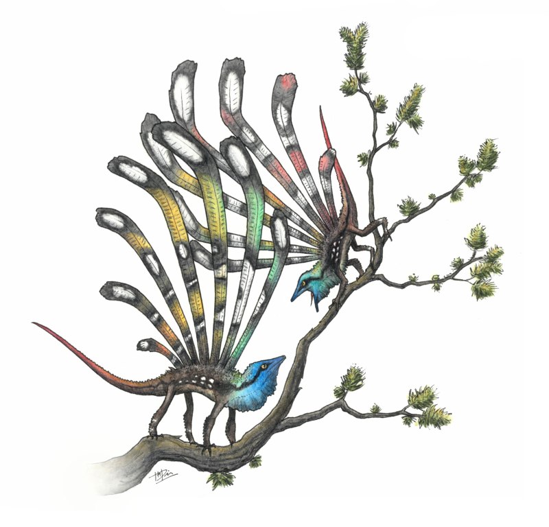 Longisquama insignis