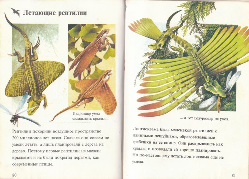 Примитивная рептилия лонгисквама -
