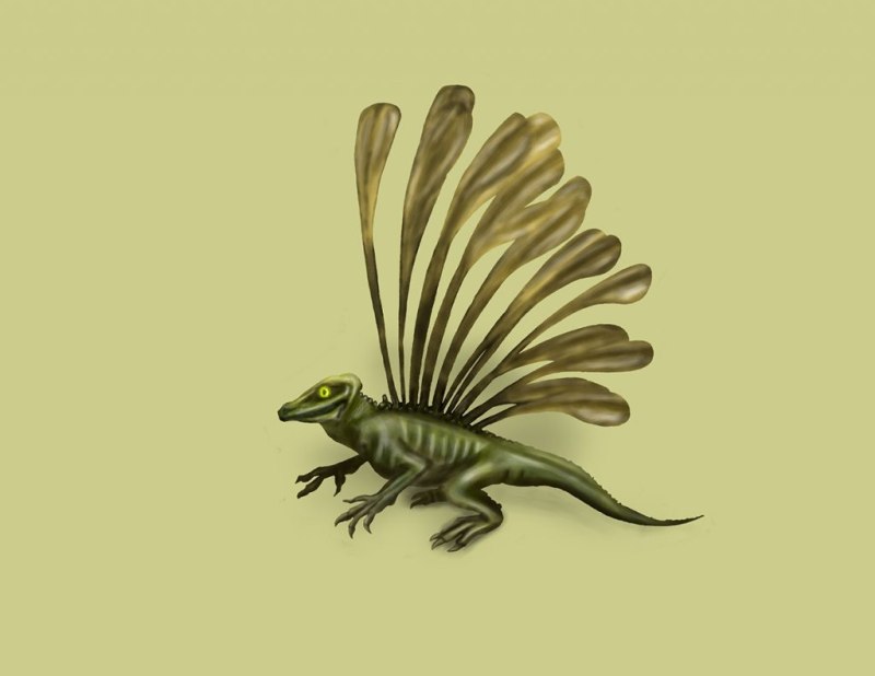Longisquama insignis