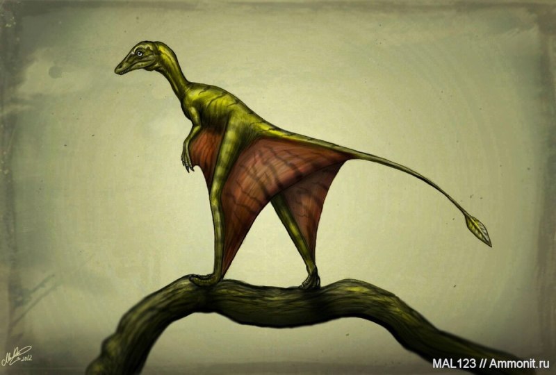 Sharovipteryx Mirabilis