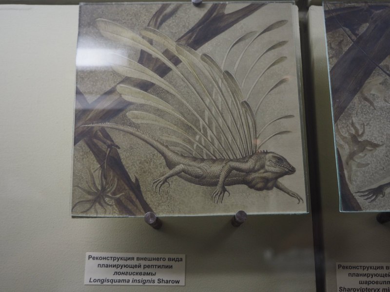 Реконструкция Longisquama insignis