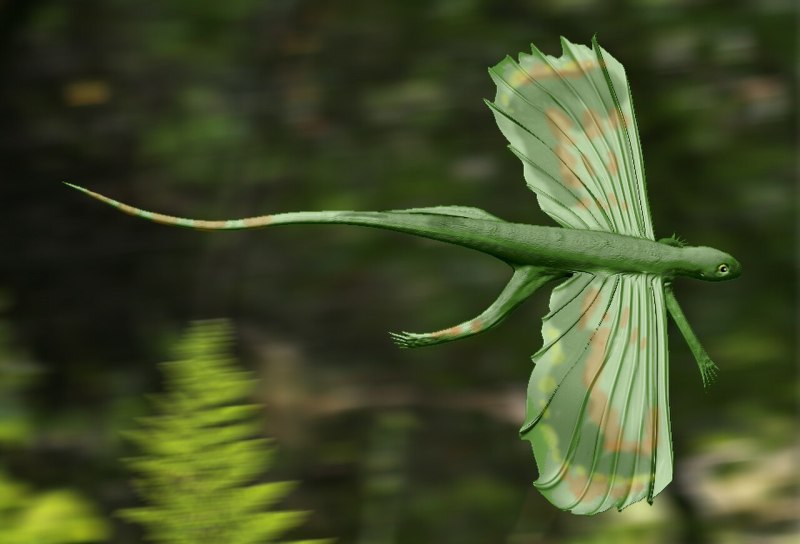 Icarosaurus siefkeri