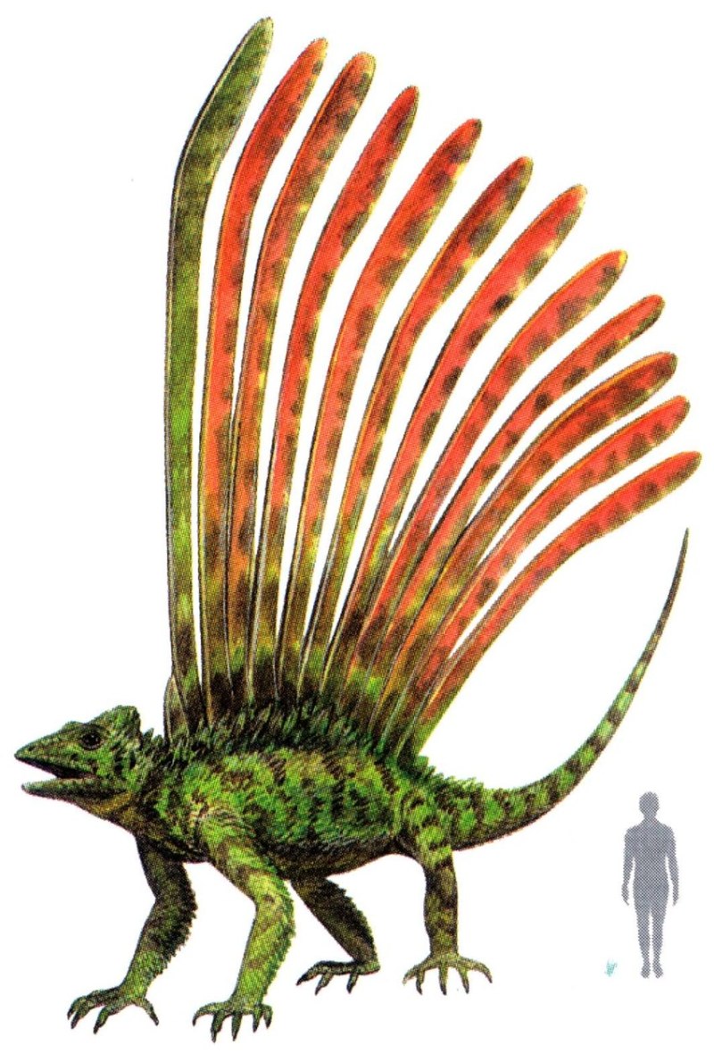Longisquama insignis
