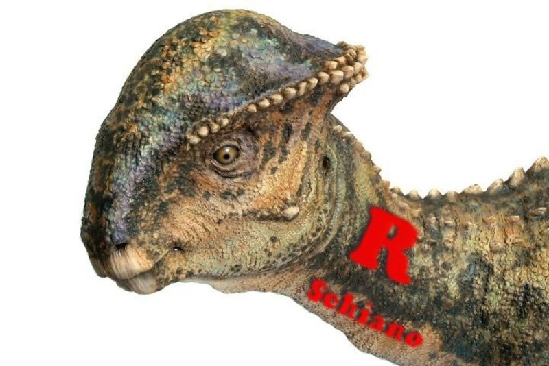 Стегоцерас Stegoceras