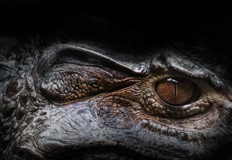 Jurassic World крокодил