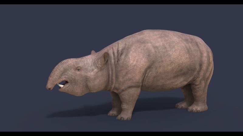 Pyrotherium