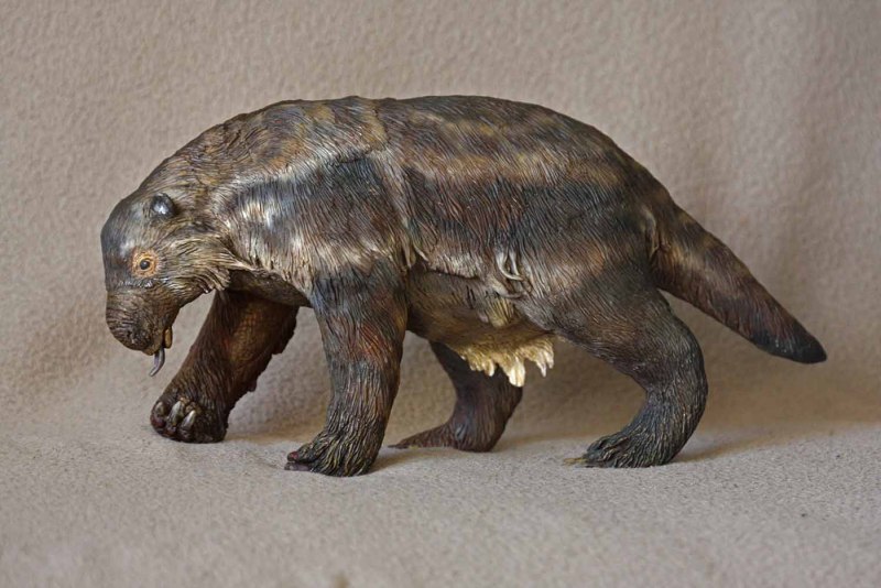 Buffoon Megatherium