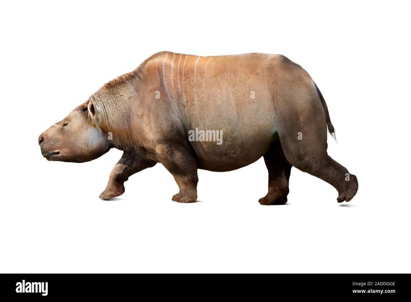 Mixotoxodon