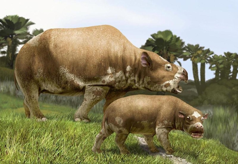 Toxodon platensis