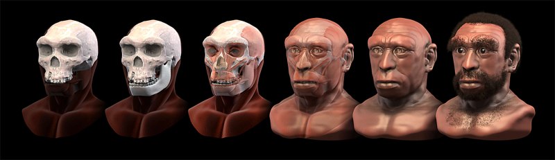 Гейдельбергский человек (homo Heidelbergensis)