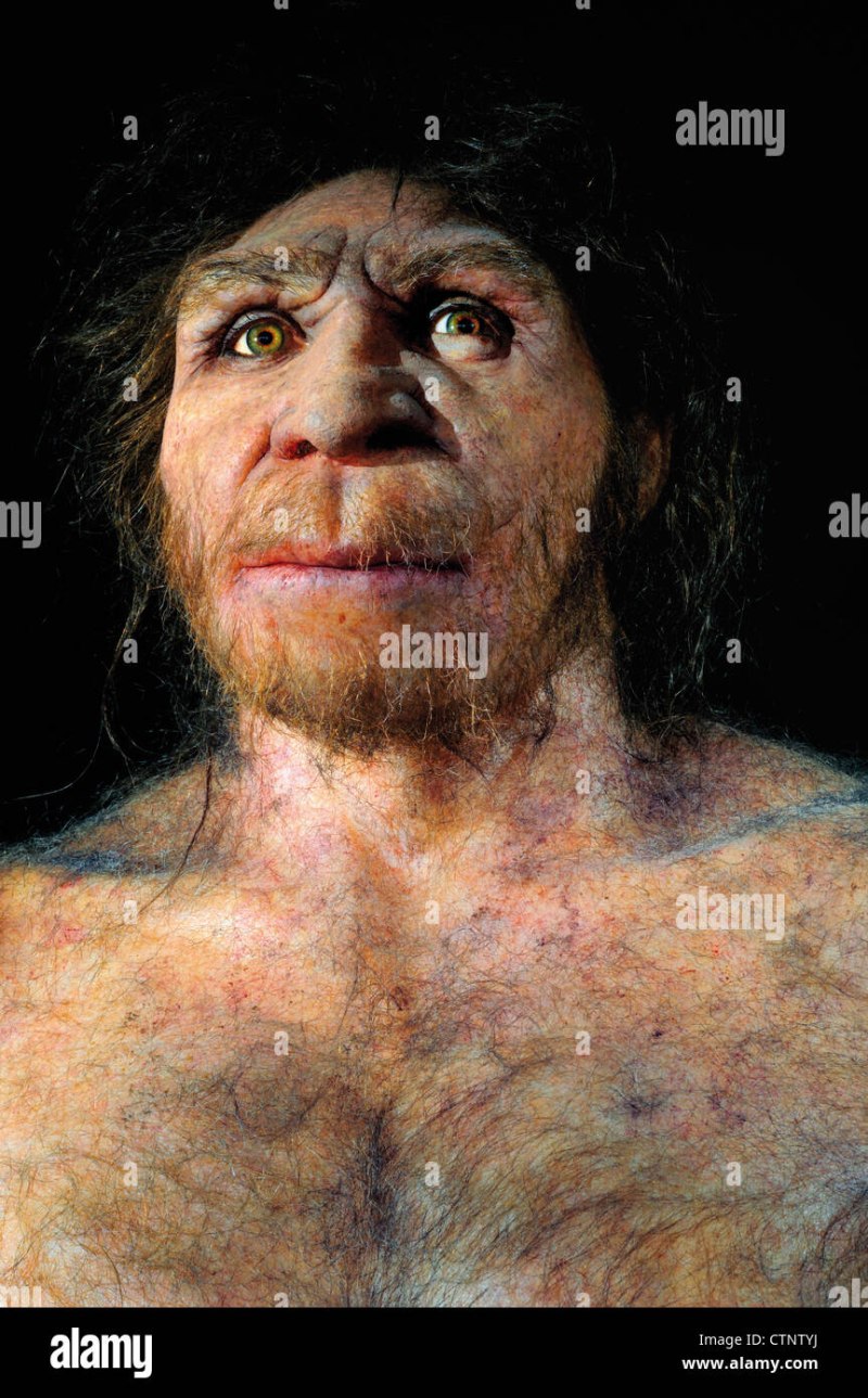 Гейдельбергский человек (homo Heidelbergensis)