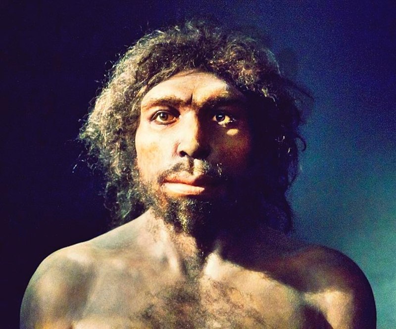Человек-предшественник homo antecessor