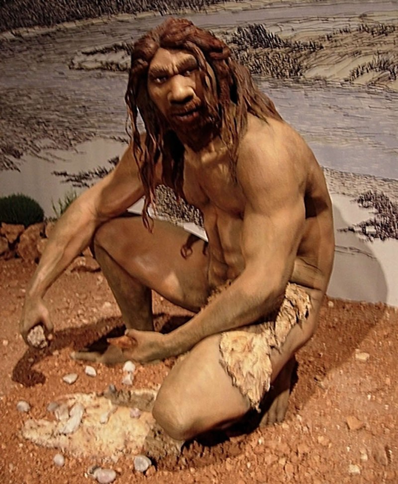 Человек Гейдельбергский homo