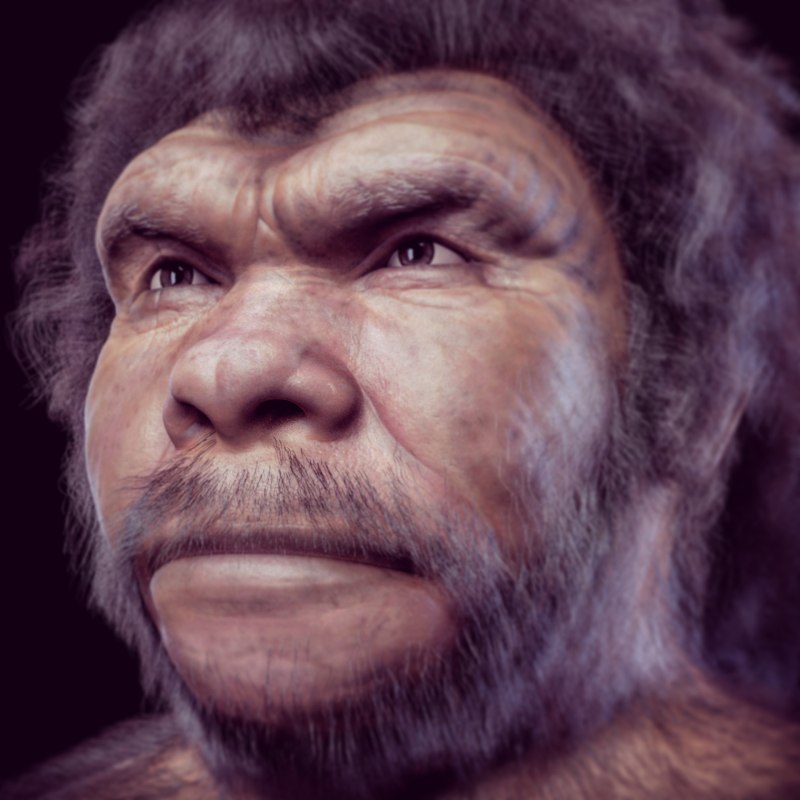 Человек Гейдельбергский homo