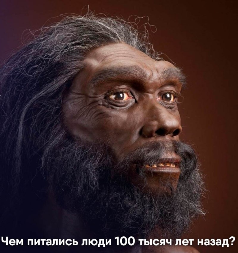 Homo Heidelbergensis