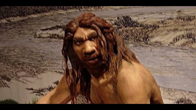 Homo sapiens человек разумный фильм 2005