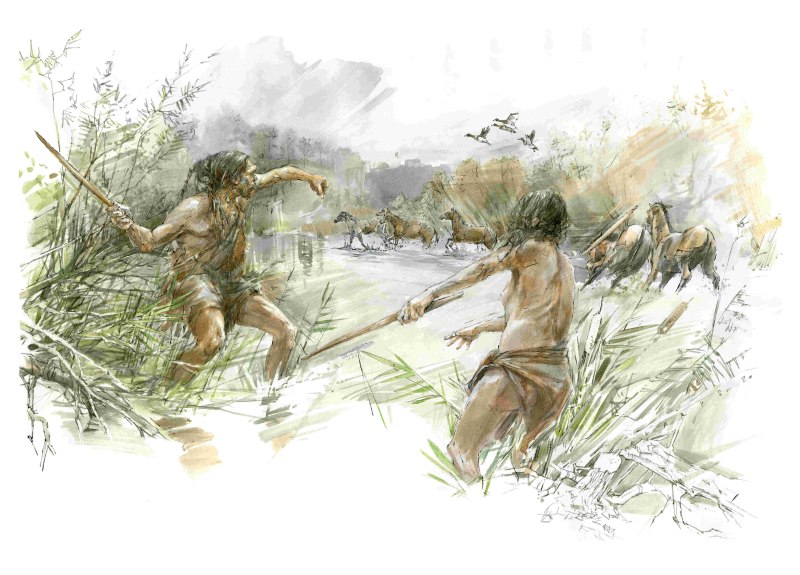 Homo Heidelbergensis
