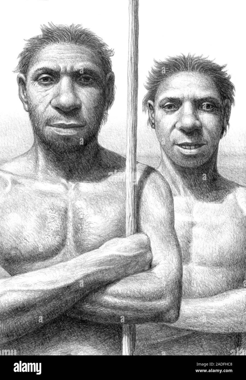 Гейдельбергский человек (homo Heidelbergensis)