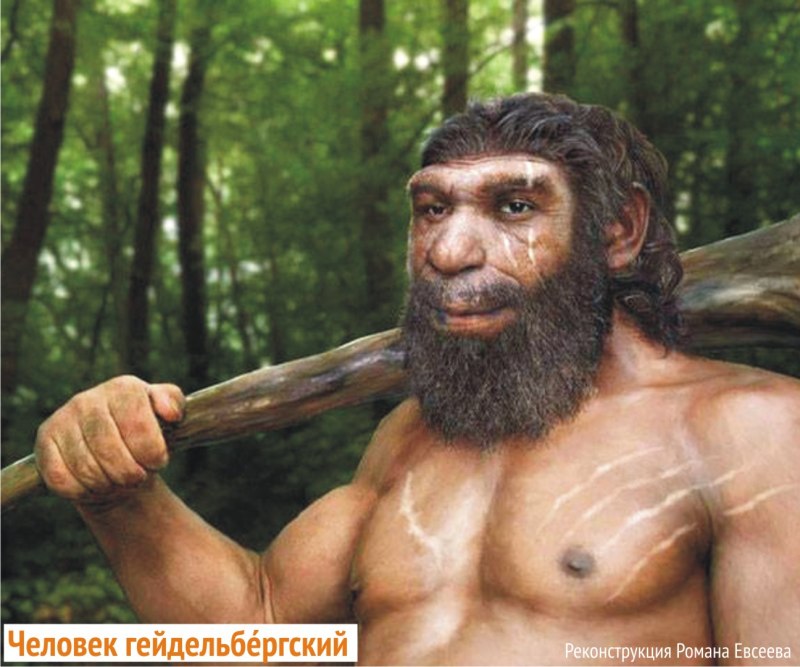 Гейдельбергский человек (homo Heidelbergensis)