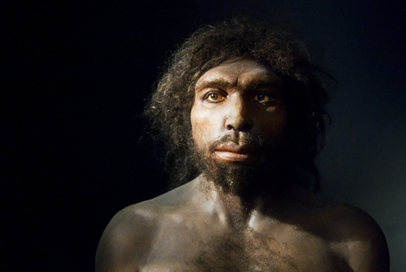 Человек-предшественник homo antecessor