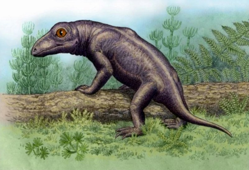 Nikkasaurus tatarinovi