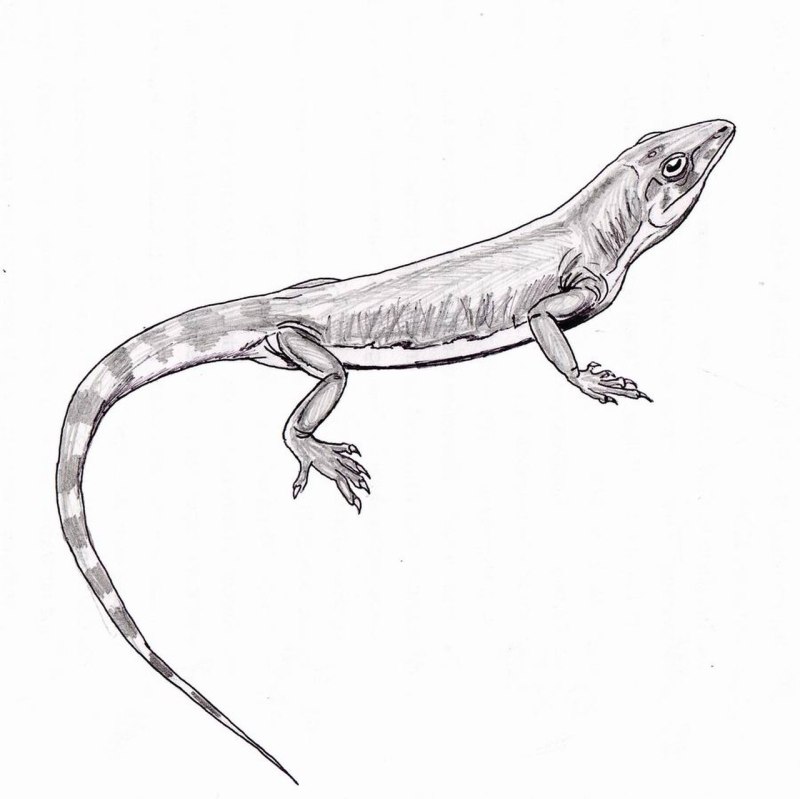 Archaeovenator Hamiltonensis