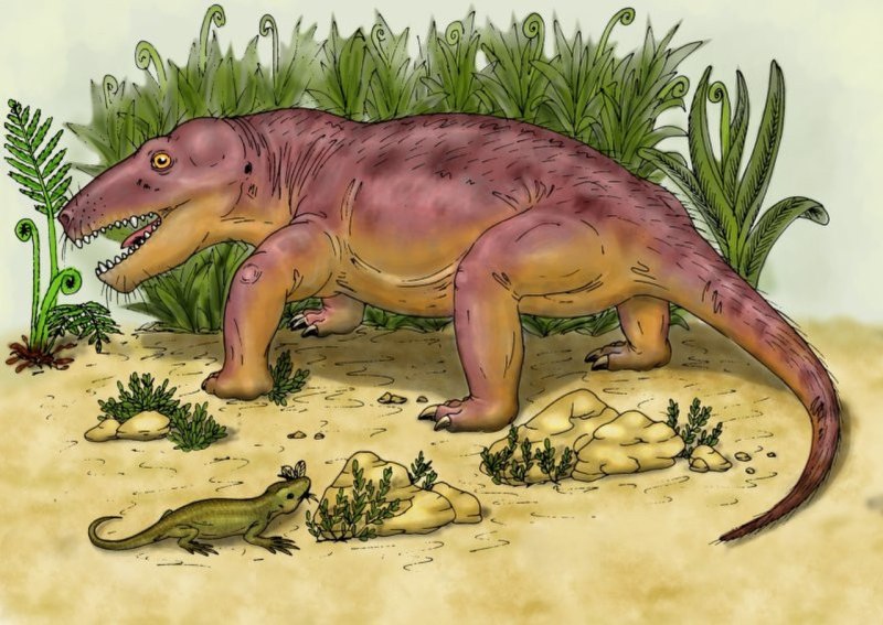 Nikkasaurus tatarinovi