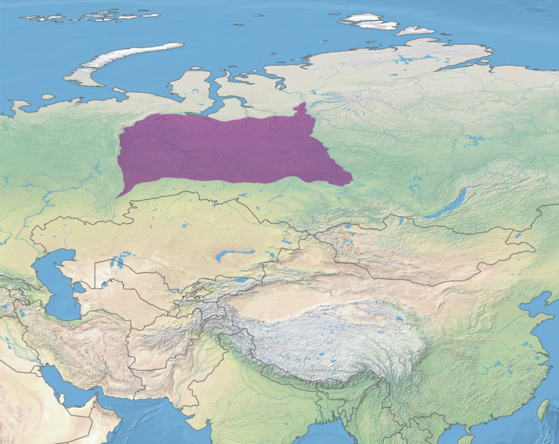 Западная Палеарктика