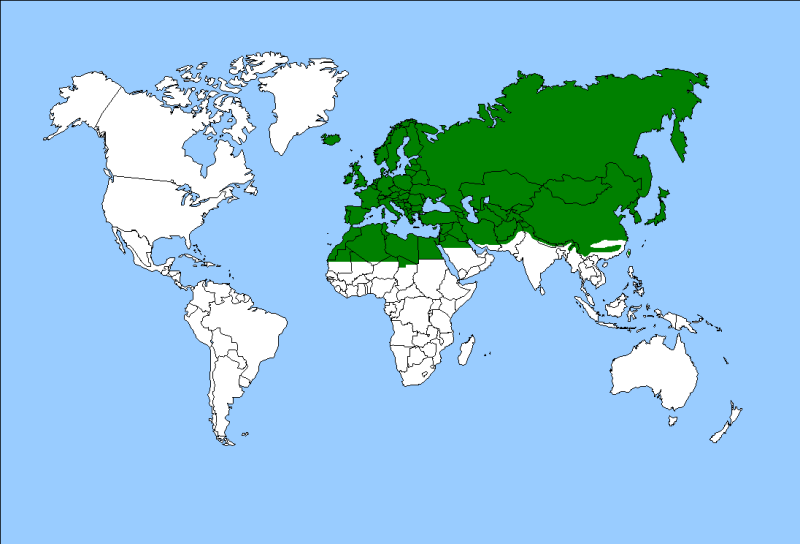 Палеарктическая фаунистическая область