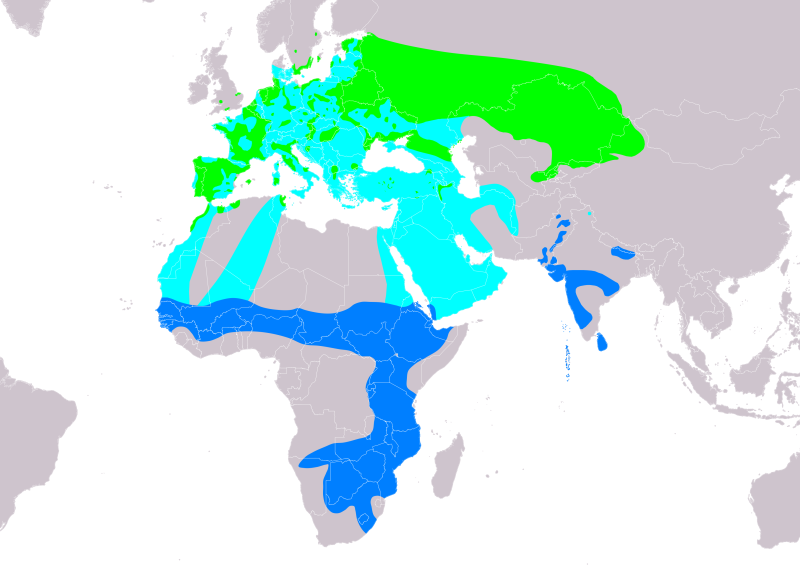 Карта Палеарктики