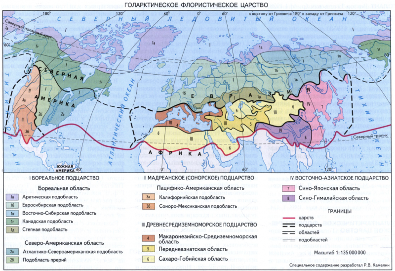 Голарктическое царство Фаунистическое районирование