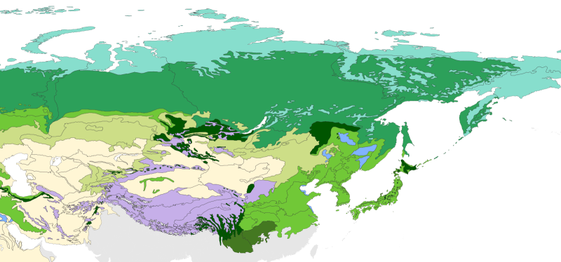 Палеоарктическая зона