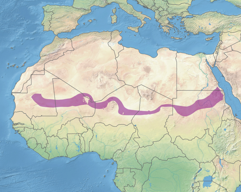 Sahroi Kabir Map