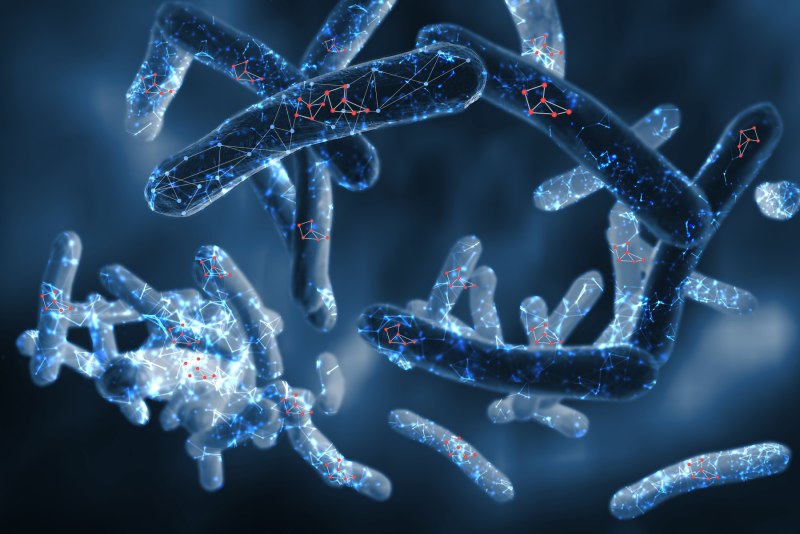 Палочка Коха (Mycobacterium tuberculosis)