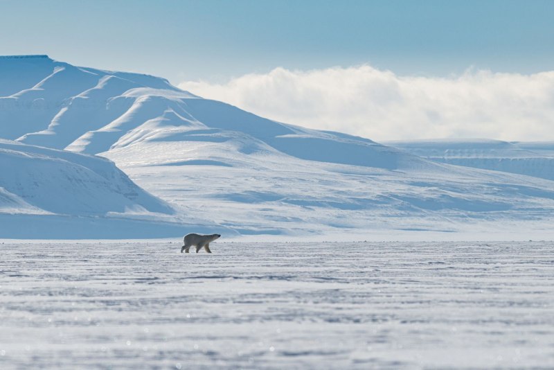 Arctic Village Аляска